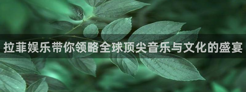 韦德1946最新网站