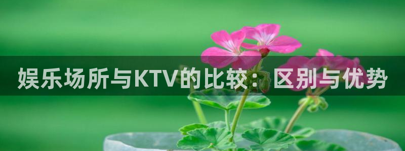 韦德1946