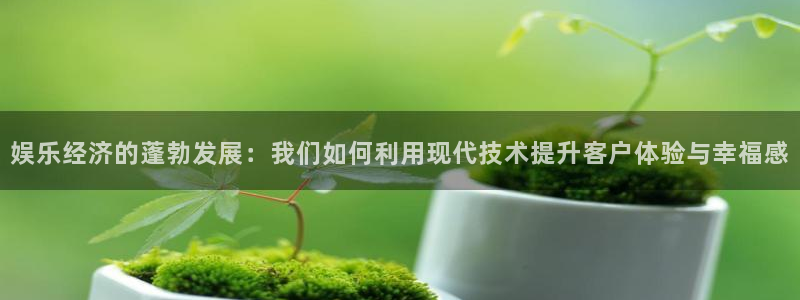 韦德1946网址